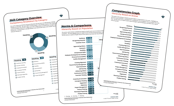 DNA Competencies assessment report pages showing Skill Category Overview with three domains, Norms & Comparisons hierarchy, and Competencies Graph used for comprehensive leadership development planning.