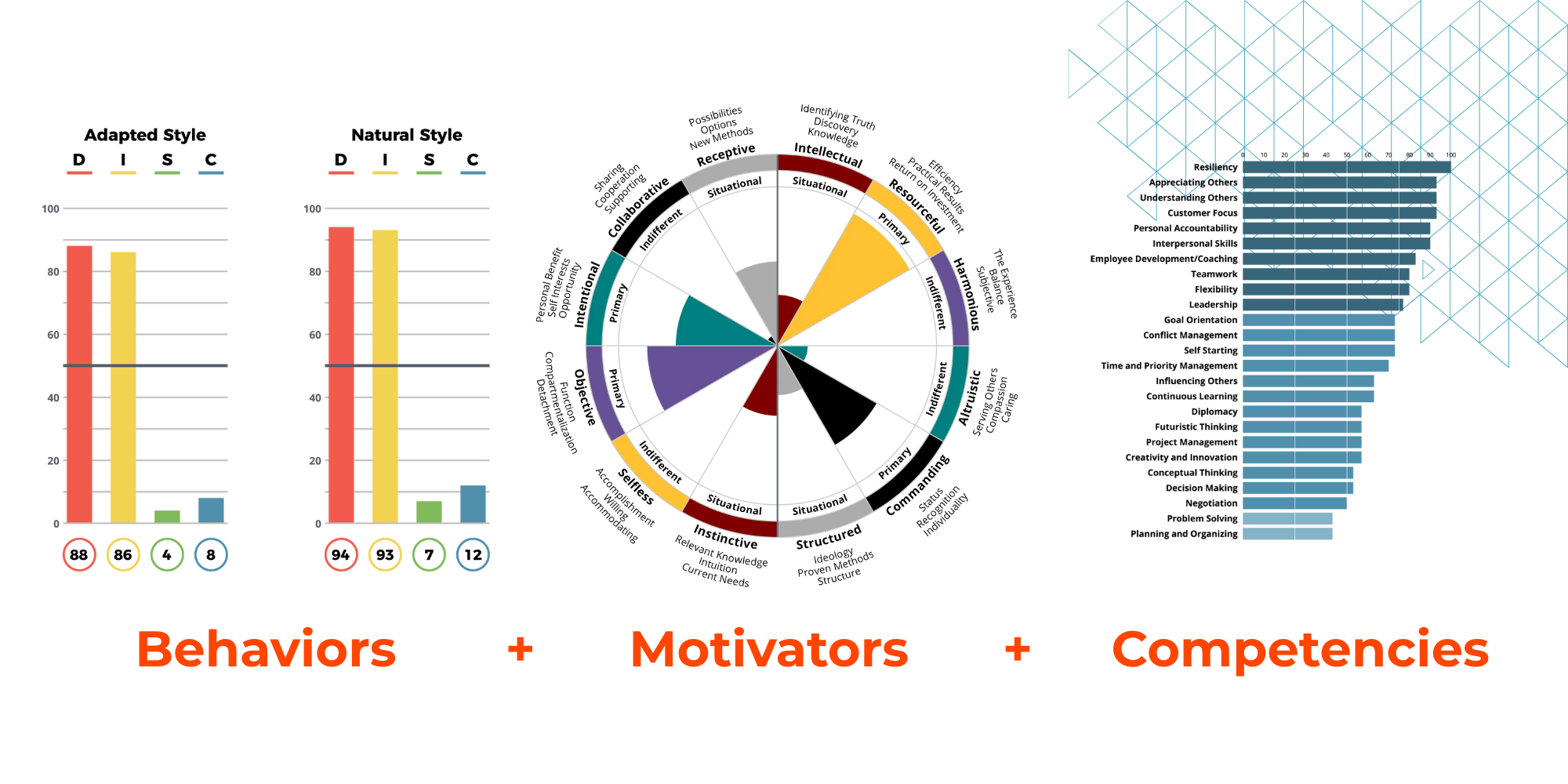 trimetrix-dna-graphs